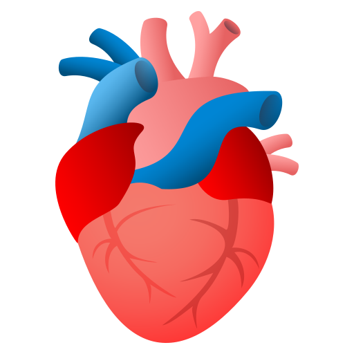 Anatomical Heart, the design in this release