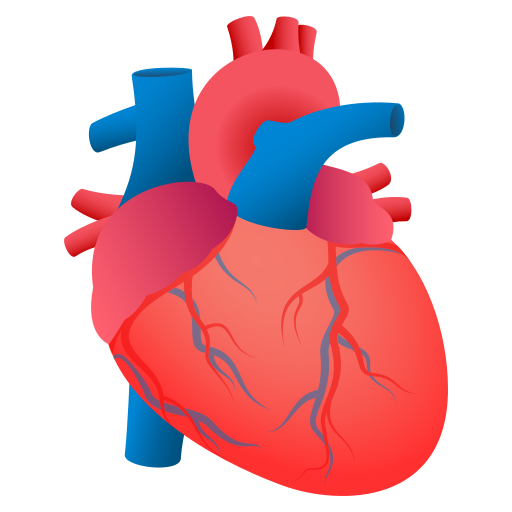 Anatomical Heart, the previous design