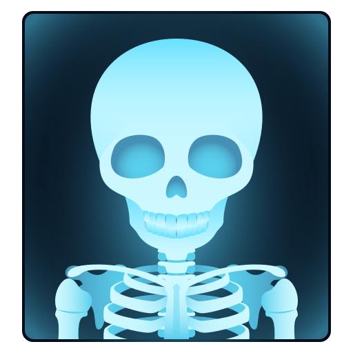X-Ray, the design in this release