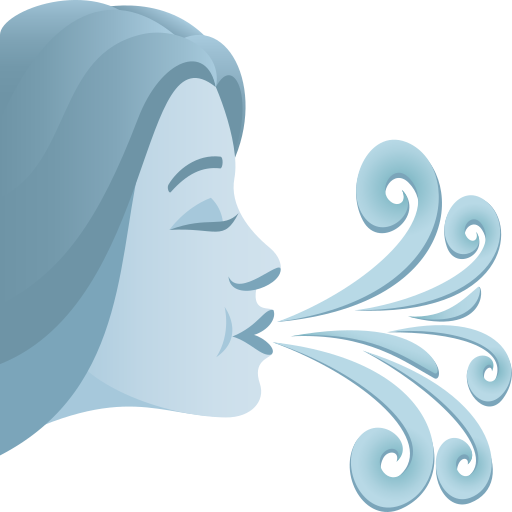 Wind Face as drawn by JoyPixels in 8.0