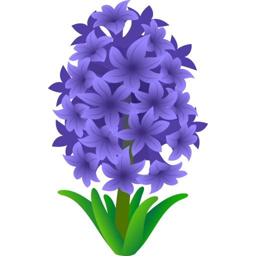 Hyacinth, the design in this release
