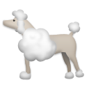 Poodle, the design in this release