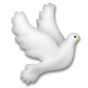 Dove, the design in this release