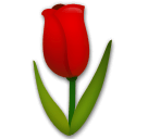 tulipán as rendered by LG
