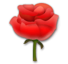 장미꽃 as rendered by LG