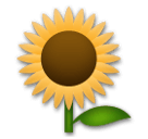 Sonnenblume as rendered by LG