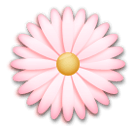 开花 as rendered by LG