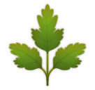 herb as rendered by LG