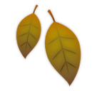 أوراق متساقطة as rendered by LG