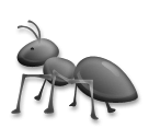 Ameise as rendered by LG
