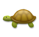 Turtle as drawn by LG in Velvet