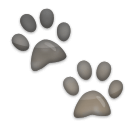 paw prints as rendered by LG