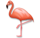 fenicottero as rendered by LG