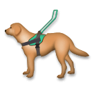 guide dog as rendered by LG
