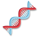 DNA as rendered by LG