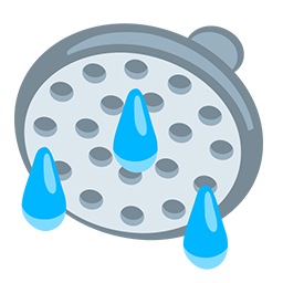 shower as rendered by Messenger
