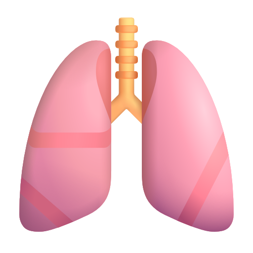 lungs as rendered by Microsoft 3D Fluent