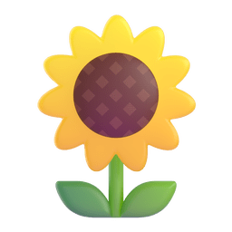 Sonnenblume as rendered by Microsoft Teams