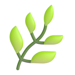 herb as rendered by Microsoft Teams