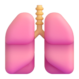 lungs as rendered by Microsoft Teams