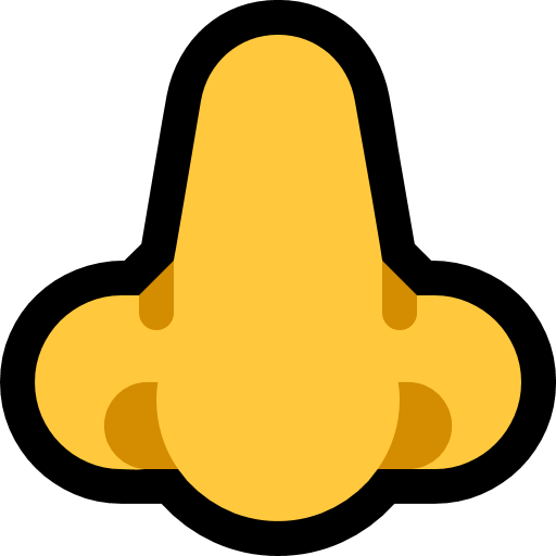 Nose as drawn by Microsoft in Windows 10 Fall Creators Update