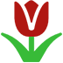 Tulip as drawn by Microsoft in Windows 10