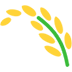Sheaf of Rice, the design in this release