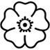 Roseta as drawn by Microsoft in Windows 10