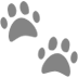 Paw Prints, the design in this release