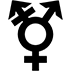 Transgender Symbol, the design in this release