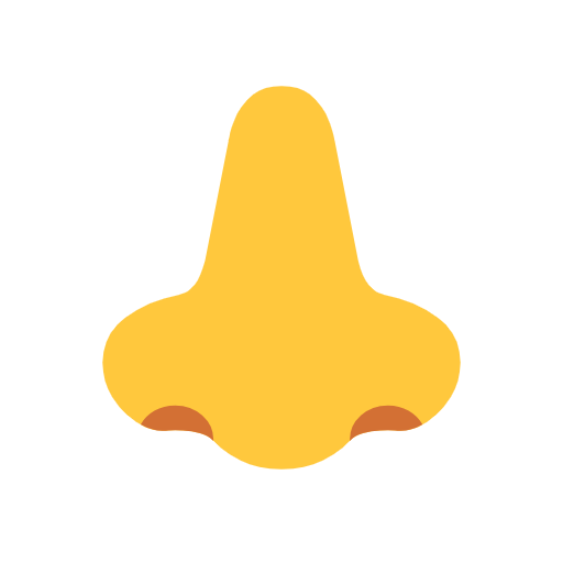 Nose as drawn by Microsoft in Windows 11 23h2 June 2024 Update