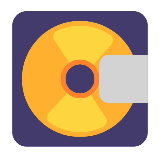 computer disk as rendered by Microsoft