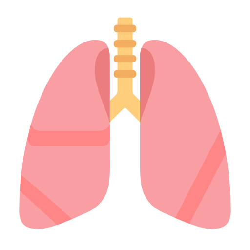 lungs as rendered by Microsoft