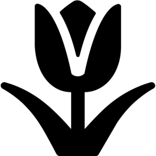 Tulip as drawn by Microsoft in Windows 8.0