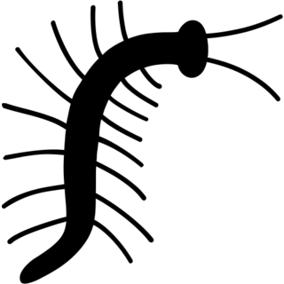 Bug as drawn by Microsoft in Windows 8.0