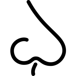 Nose as drawn by Microsoft in Windows 8.0