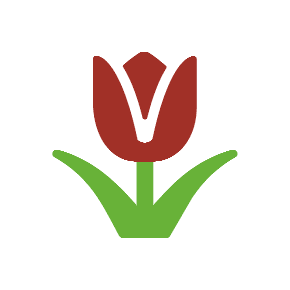 Tulip as drawn by Microsoft in Windows 8.1