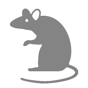 Rat as drawn by Microsoft in Windows 8.1