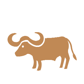 Water Buffalo, the previous design