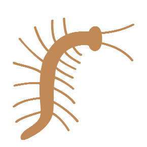 Bug as drawn by Microsoft in Windows 8.1