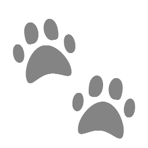 Paw Prints, the previous design