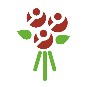 Bouquet, the previous design