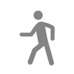 Person Walking, the previous design