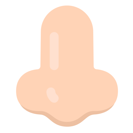 Nose as drawn by Mozilla in Firefox OS 2.5