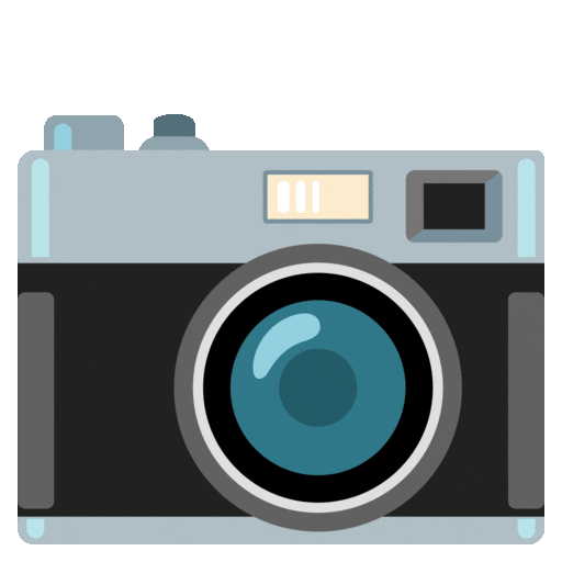 camera as rendered by Noto Animated Emoji