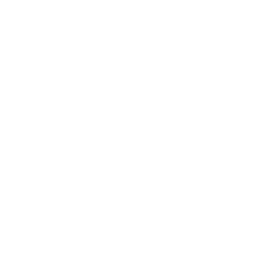 roller skate as rendered by Noto Animated Emoji