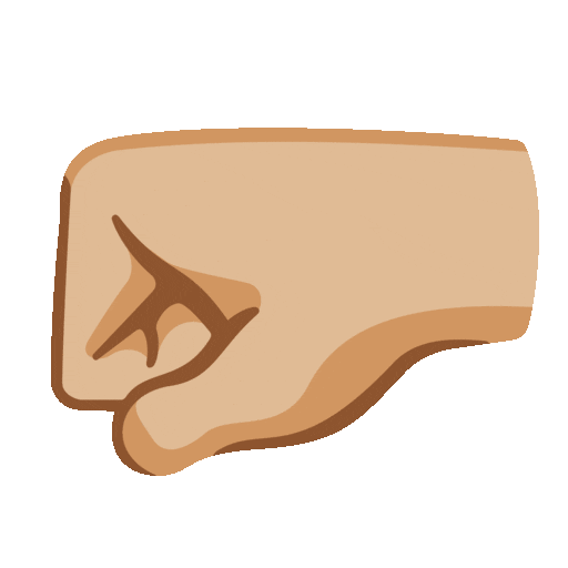 left-facing fist: medium-light skin tone as rendered by Noto Animated Emoji