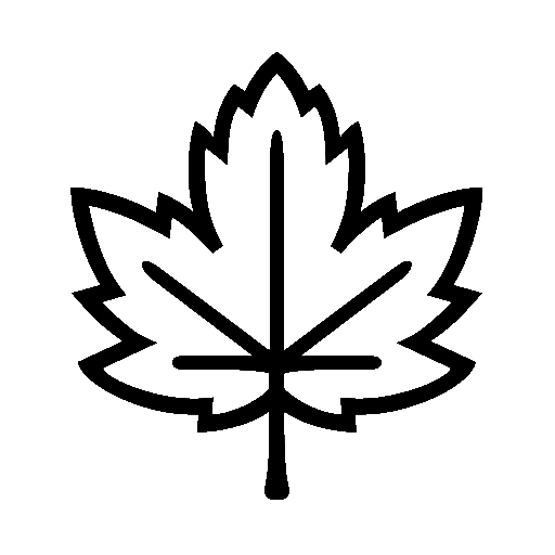 Maple Leaf as drawn by Noto Emoji in 14.0