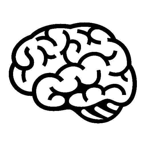 Brain as drawn by Noto Emoji in 15.0