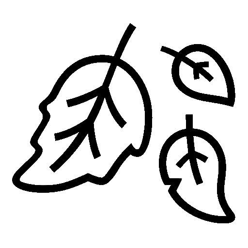 Foglia Caduta as drawn by Noto Emoji in 16.0